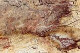 Polished Cherry Creek Jasper - China #326028-1